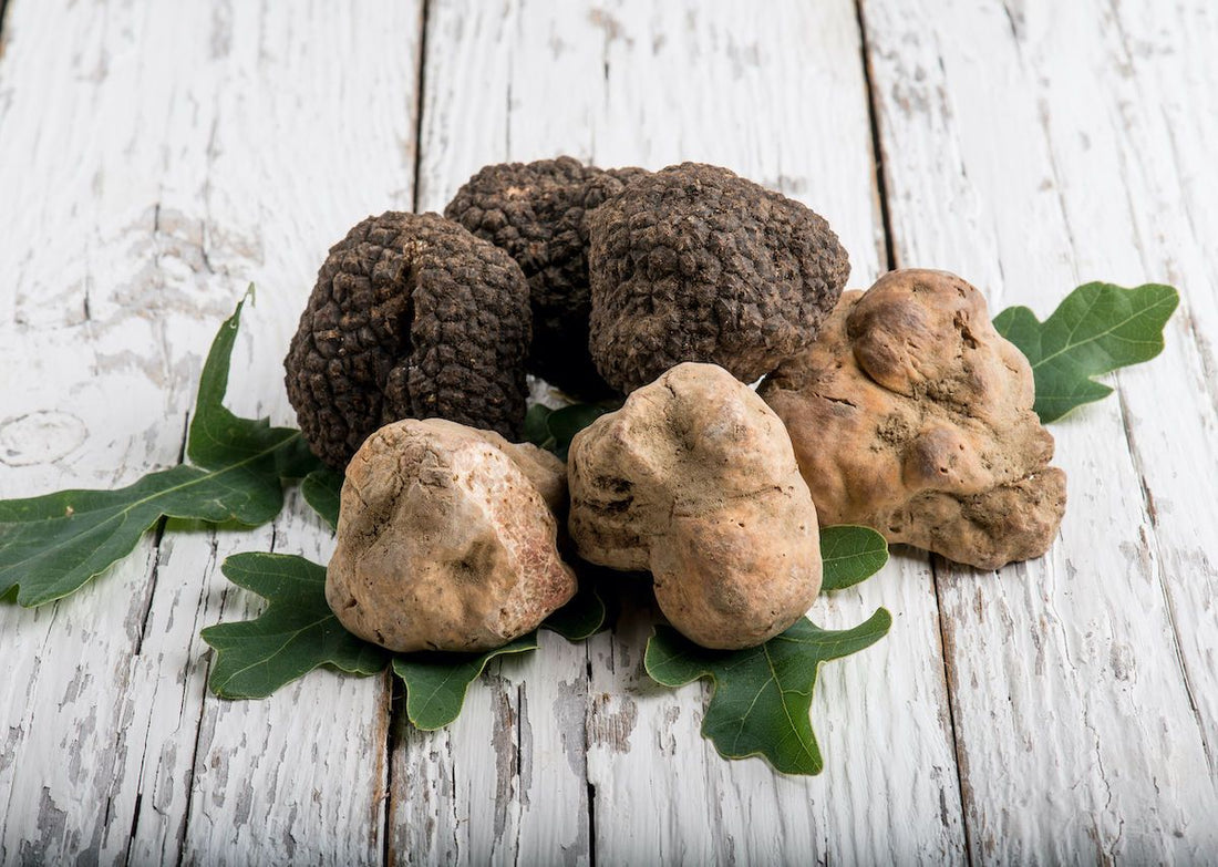 THE DIFFERENCE BETWEEN WHITE & BLACK TRUFFLES